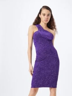 IRO Robes De Soirée Robe De Soirée LEANDRA Femme Mûre / Violet Foncé 9 IRO Robes De Soirée Robe De Soirée LEANDRA Femme Mûre / Violet Foncé -Joli Mode Soldes Magasin 0559235d2ed35891a2a12c385ba09360