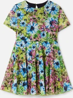 Desigual Robes Robe GARDEN Enfants Vert