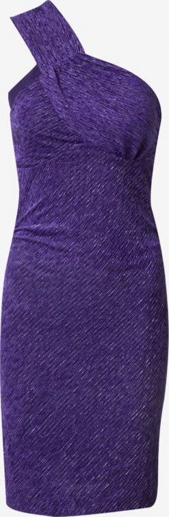 IRO Robes De Soirée Robe De Soirée LEANDRA Femme Mûre / Violet Foncé
