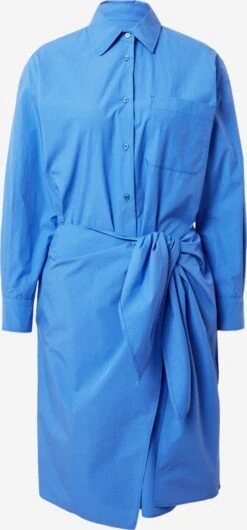 Weekend Max Mara Robes Fluides Robe-chemise AVOCADO Femme Bleu Roi