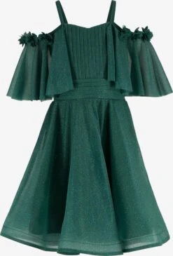 Robes Robe Enfants Vert Foncé