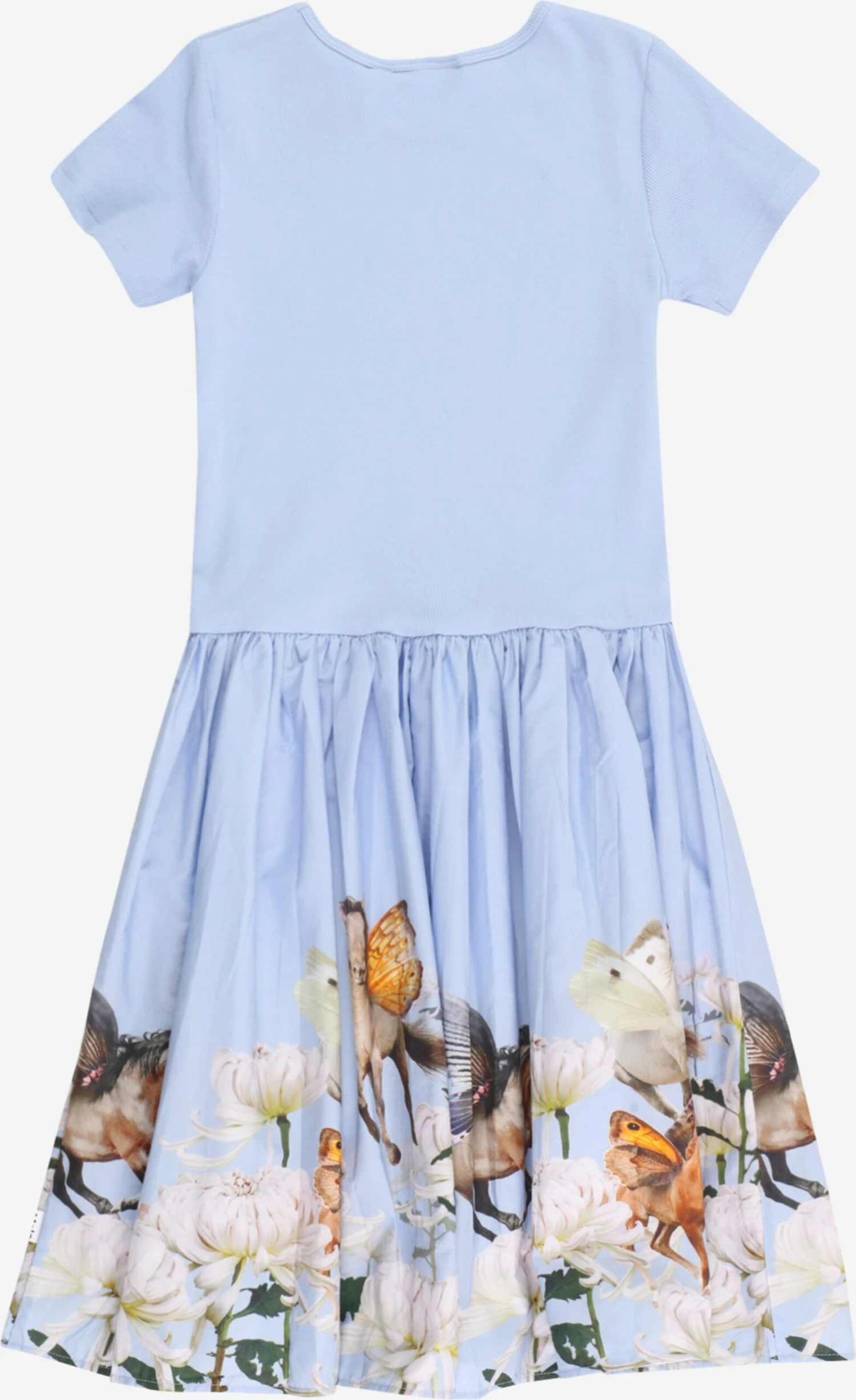 Molo Robes Robe Cissa Enfants Bleu Clair 4 Molo Robes Robe Cissa Enfants Bleu Clair – Image 2