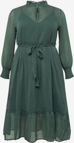 Robes Fluides Robe-chemise Thassia Femme Vert