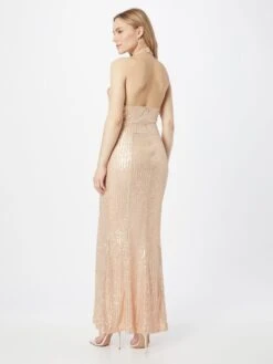 Coast Robes De Soirée Robe De Soirée Femme Champagne -Joli Mode Soldes Magasin ddc248fe19397b05b5560f7346ce9750