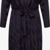 Robes Fluides Robe-chemise Caroline Femme Bleu Marine -Joli Mode Soldes Magasin fbc4447a89224528a0c8ec487659be94