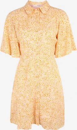 Robes Fluides Robe-chemise JALINA Femme Rose